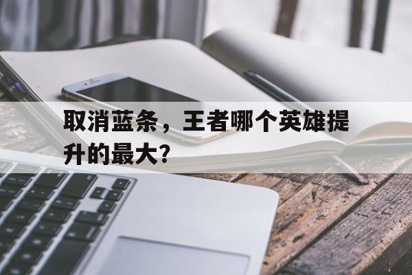 星空体育-取消蓝条，王者哪个英雄提升的最大？的简单介绍  第4张