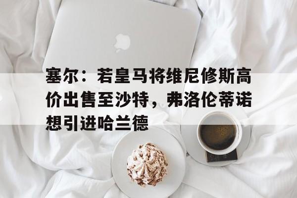 多米体育-包含塞尔：若皇马将维尼修斯高价出售至沙特，弗洛伦蒂诺想引进哈兰德的词条