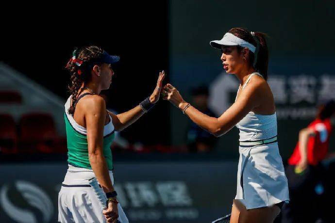 包含温网第10日:辛纳德约争会师斯瓦泰克冲四强的词条  第2张