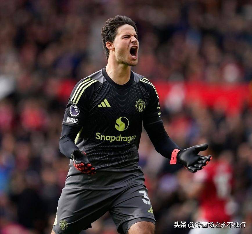 关于热刺6400万标王诞生！曼联免签变壕购，利物浦夏窗0引援的信息  第2张