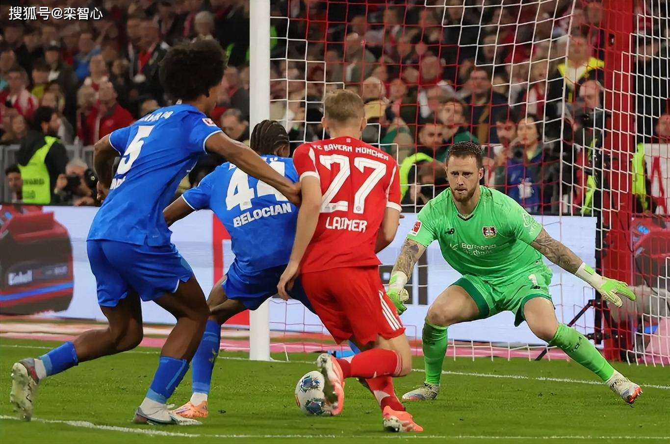 关于德甲积分榜：拜仁41分领跑！多特32分第二！美因茨8分垫底！的信息