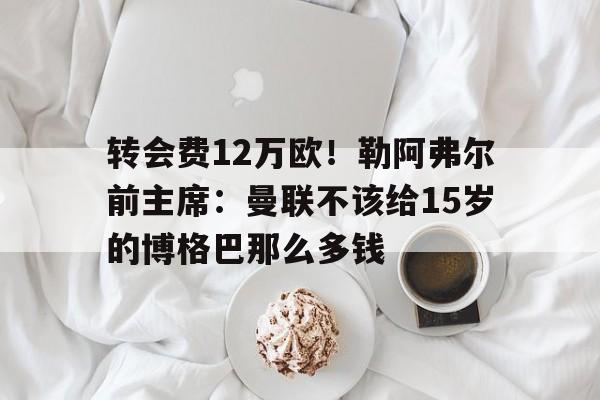 转会费12万欧！勒阿弗尔前主席：曼联不该给15岁的博格巴那么多钱的简单介绍