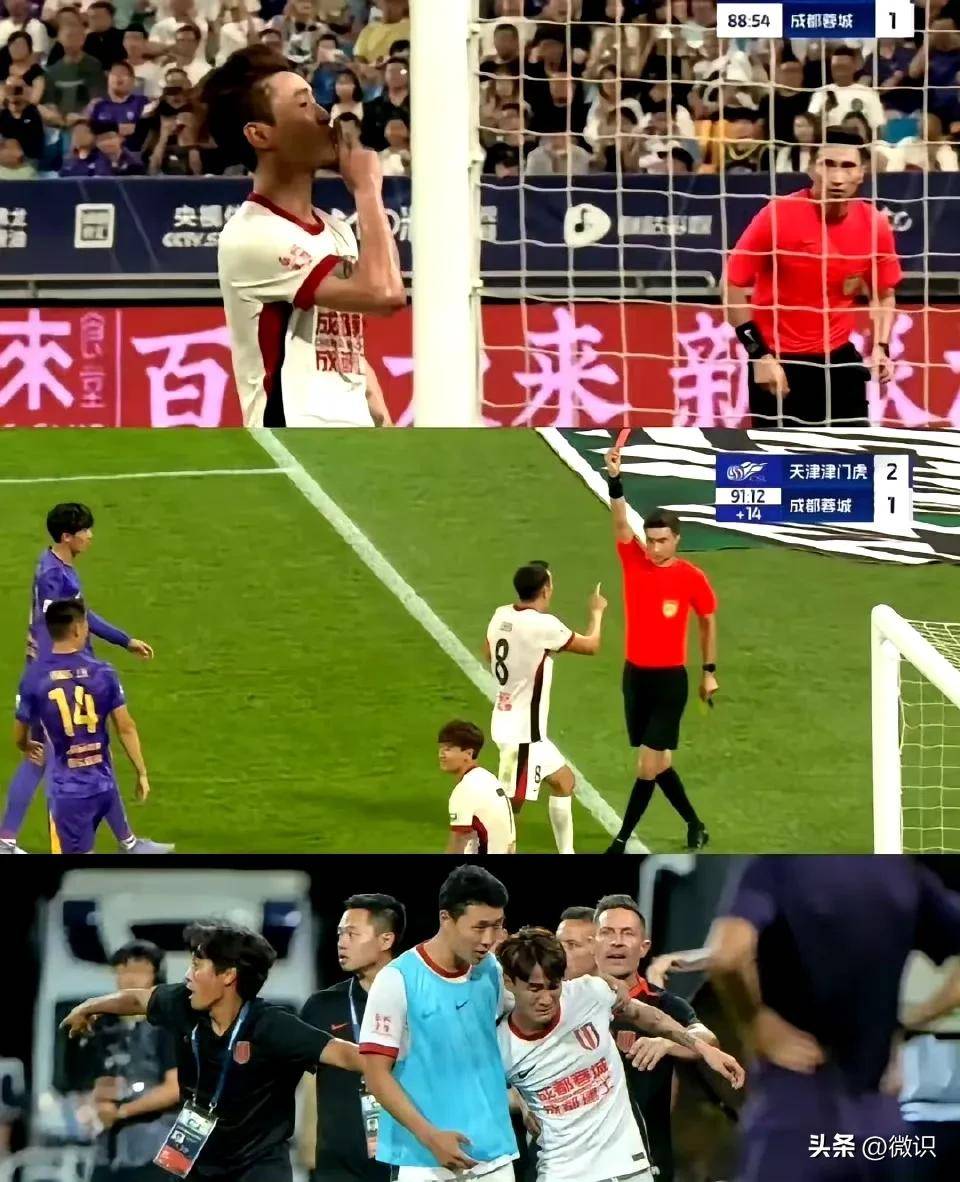 球迷辱骂球员家属！中足联全力抵制并坚决打击的简单介绍