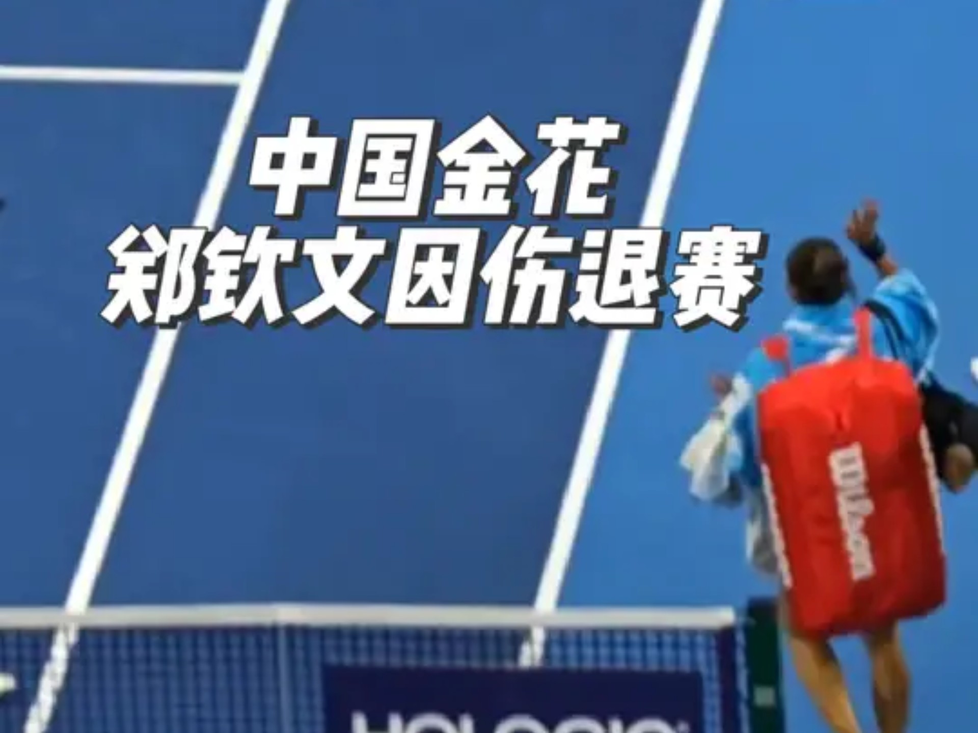 包含养伤!美网官宣郑钦文退赛首次缺席大满贯的词条