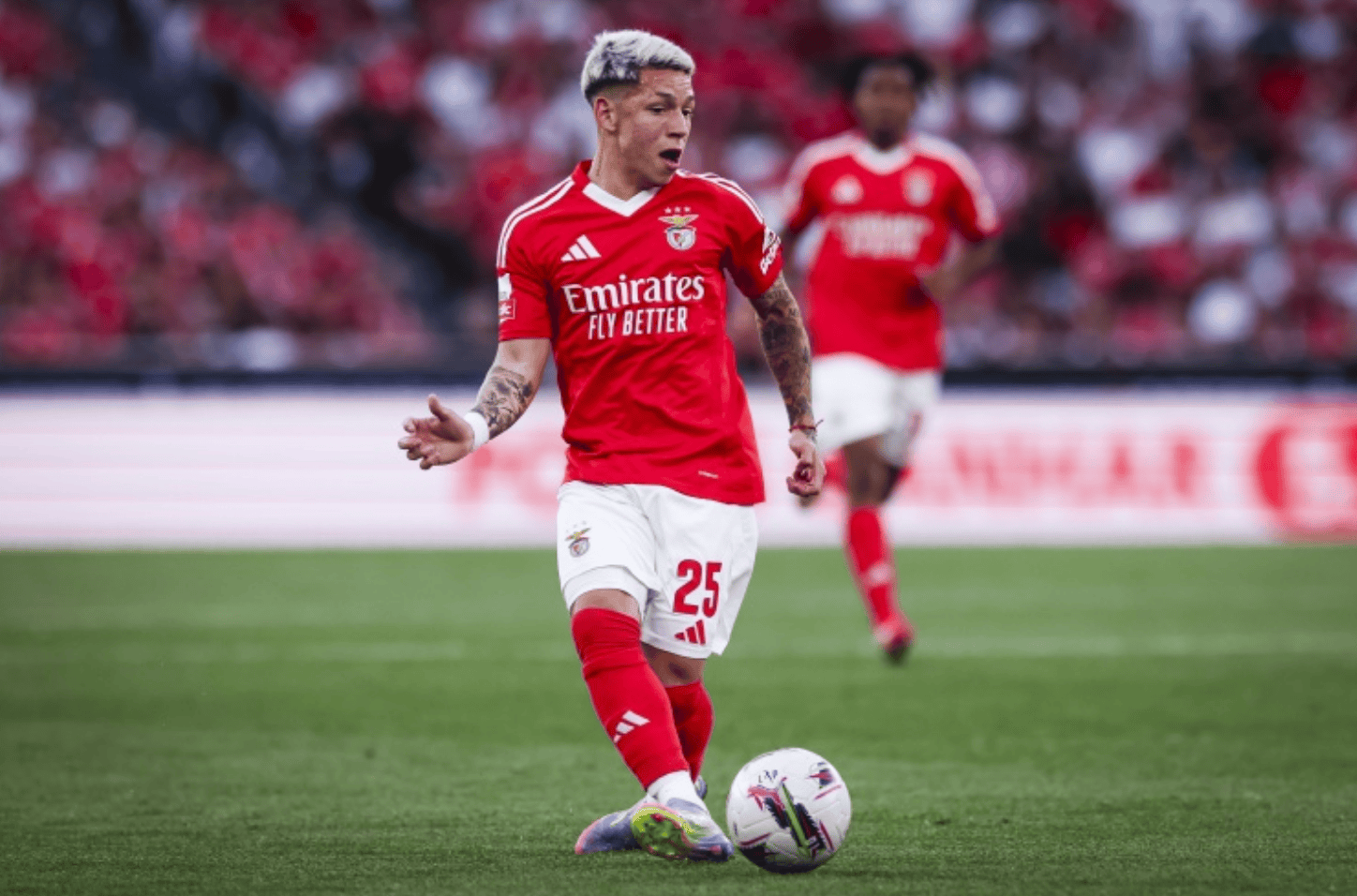 包含因本菲卡有欧冠资格赛，鲁伊-科斯塔缺席若热-科的词条