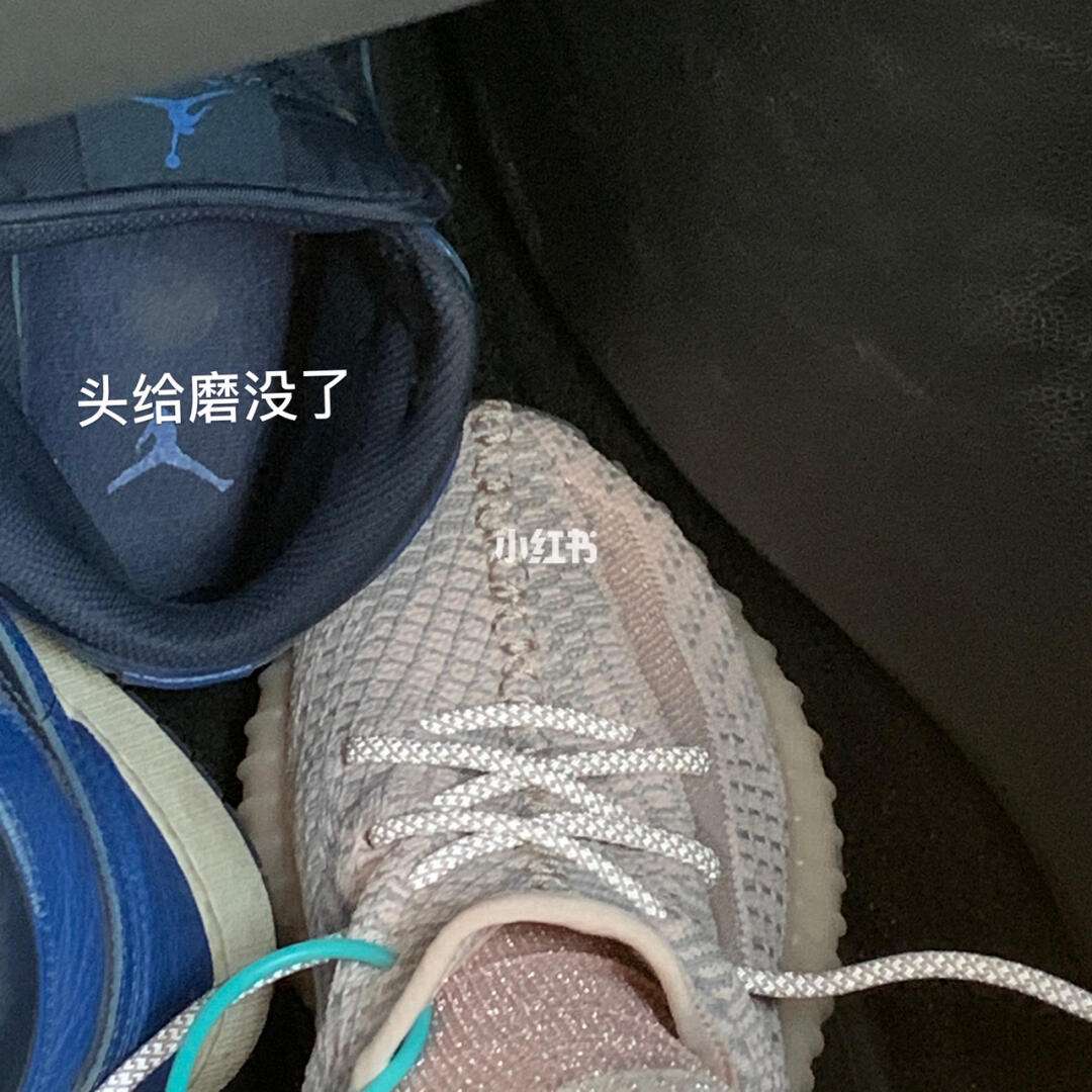 诺粉到底有多恨小俞的简单介绍