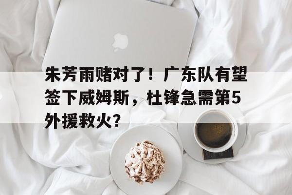 关于朱芳雨赌对了！广东队有望签下威姆斯，杜锋急需第5外援救火？的信息  第2张